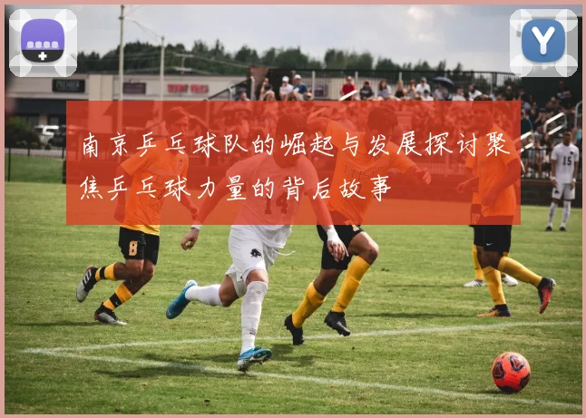 南京乒乓球队的崛起与发展探讨聚焦乒乓球力量的背后故事