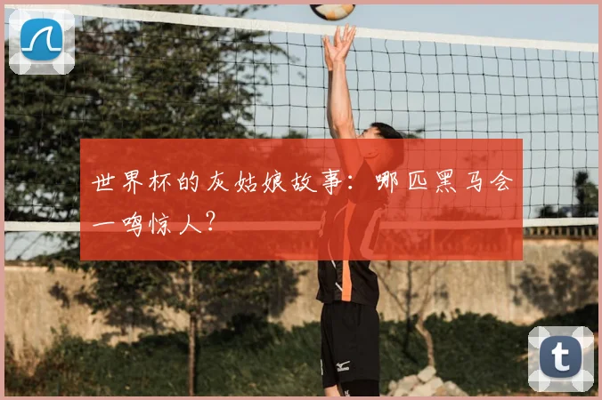 世界杯的灰姑娘故事：哪匹黑马会一鸣惊人？