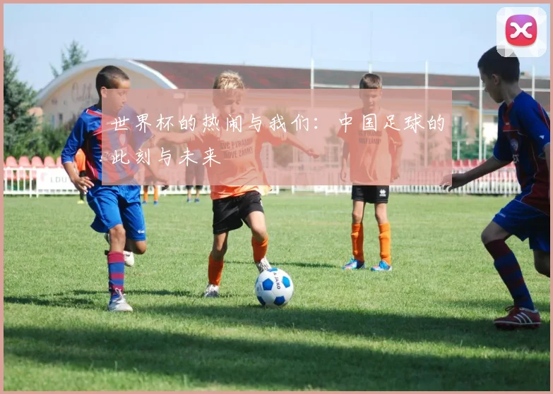 世界杯的热闹与我们：中国足球的此刻与未来