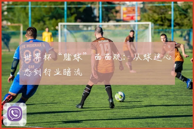 世界杯“赌球”面面观:从球迷心态到行业暗流