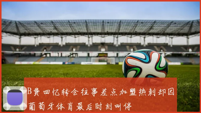 B费回忆转会往事差点加盟热刺却因葡萄牙体育最后时刻叫停