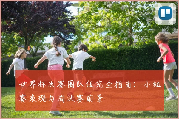 世界杯决赛圈队伍完全指南：小组赛表现与淘汰赛前景