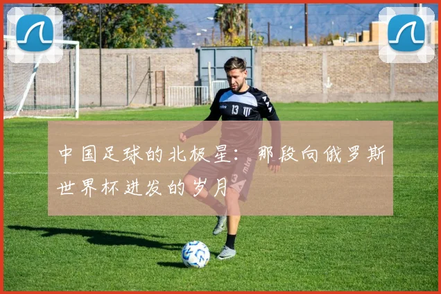 中国足球的北极星：那段向俄罗斯世界杯进发的岁月