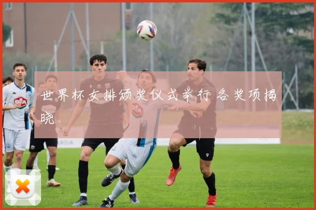 世界杯女排颁奖仪式举行 各奖项揭晓