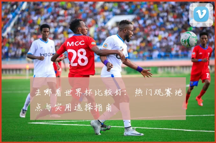 去哪看世界杯比较好：热门观赛地点与实用选择指南