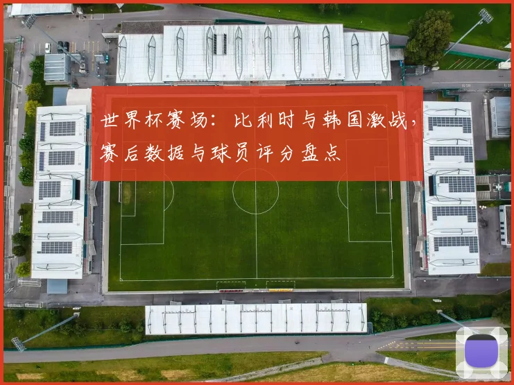 世界杯赛场：比利时与韩国激战，赛后数据与球员评分盘点