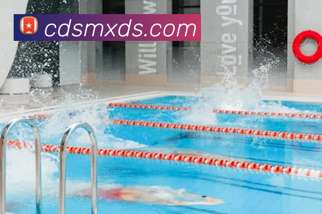 星空体育平台生态图