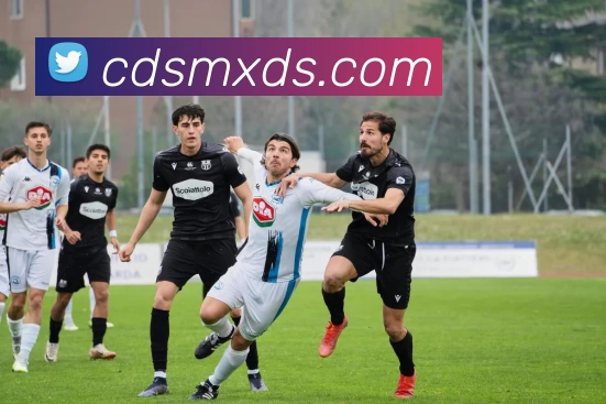 星空体育全站App